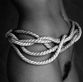 pubis f&eacute;minin et cordes 