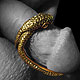 sexe masculin et Ari Snake - bijou intime en bronze _ Rosebuds