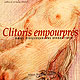 Clitoris empourpr&eacute;s