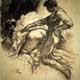/Image/img_articles/levrette/picto/levrette_base.jpg 