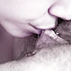 cunnilingus entre femmes 