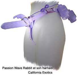 /Image/img_articles/sextoys/passion_wave.jpg