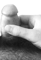 micro p&eacute;nis en &eacute;rection 
