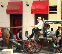 vitrine du quartier rouge