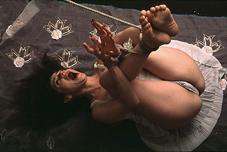 Pieds et poings liés - Christian Peter Pieds et poings liés - Christian Peter