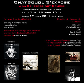 Chat Soleil Concorde Art Gallery - 17 au 30 juin 2011