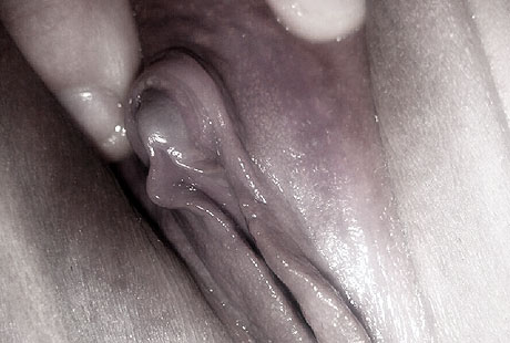 gland du clitoris