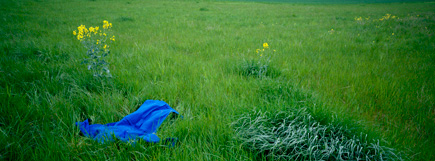 La robe bleue de la rue de Tournon