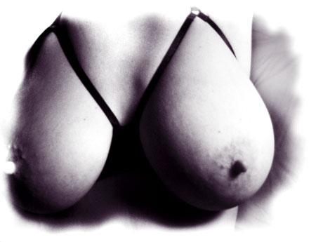 fantasme des seins