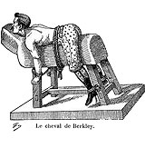 Le cheval de Berkley