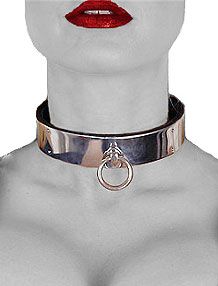 Collier en acier - 1 anneau