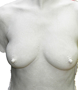 Buste féminin - Moulage en plâtre - Olivier Duhamel